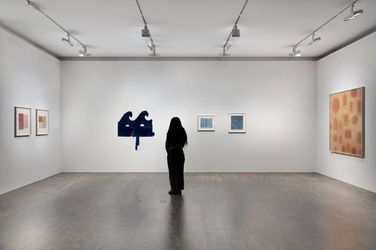Exhibition view: Yto Barrada, Bite the Hand, Pace Gallery, London (22 March–11 May 2024). Courtesy Pace Gallery.