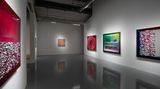 Contemporary art exhibition, Daisuke Ohba, Painting—Phenomena in Degrees of Depth at SCAI The Bathhouse, Tokyo, Japan