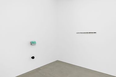 Installation view: Deimantas Narkevičius, The Fifer, Maureen Paley, London (12 January – 11 February 2024). Courtesy Maureen Paley.