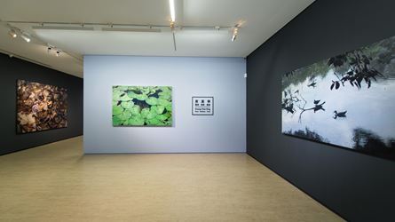 Exhibition view: Huang Chia-Ning, Facts・Realities・Truth 攖真・滢真・應真, Lin & Lin Gallery, Taipei (14 March–18 April 2020). Courtesy Lin & Lin Gallery.