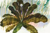 Löwenzahn by Yi Youjin contemporary artwork painting, works on paper