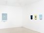 Contemporary art exhibition, Adrian Hobbs, Reliable Anomalies at Gallery 9, Sydney, Australia
