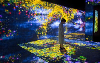 Exhibition view: teamLab, Living Digital Forest and Future Park, Pace Gallery, Beijing (20 May–19 November 2017). Courtesy Pace Gallery, Beijing.