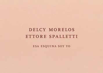 Contemporary art exhibition, Delcy Morelos, Ettore Spalletti, Esa Esquina Soy Yo at Marian Goodman Gallery, New York, United States