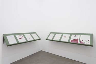 Lawrence Abu Hamdan installation view, Maureen Paley, London, 2020 