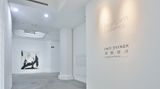 Contemporary art exhibition, Inci Eviner, Looping on Thin Ice at Pearl Lam Galleries, Shanghai, China
