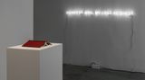 Contemporary art exhibition, Jorge Méndez Blake, Not To Read at 1301PE, Los Angeles, United States