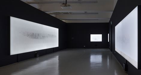 Exhibition view: Robert Zhao Renhui, The Lines We Draw, ShanghART, Singapore (15 January–30 August 2020). Courtesy ShanghART.