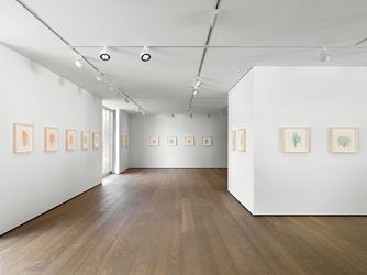 Exhibition view: Charles Gaines, Drawings, Hauser & Wirth, St. Moritz (16 February–29 March 2020). © Charles Gaines. Courtesy the artist and Hauser & Wirth.