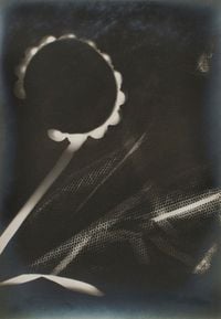Untitled (Rayograph) by Man Ray contemporary artwork photography