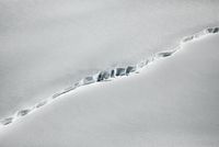 Aerial over Venable 01A (no. 1), Antarctica by Paolo Pellegrin contemporary artwork photography