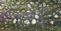 Moss Wall by Nona Garcia contemporary artwork painting, works on paper