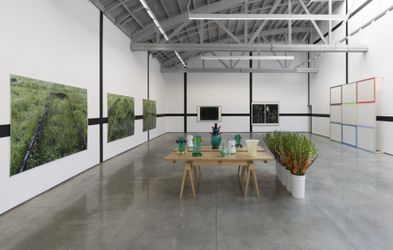Exhibition view: Andrea Büttner, Grids, Vases, and Plant Beds, David Kordansky Gallery, Los Angeles (17 July–28 August 2021). Courtesy David Kordansky Gallery.