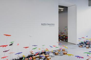 Installation view from Don’t Ask Why the Crocodiles Spin by Satoru Tmura