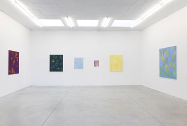 Exhibition view: Evi Vingerling, Upbringing, Kristof De Clercq gallery, Ghent (12 May–16 June 2019). Courtesy Kristof De Clercq gallery. 