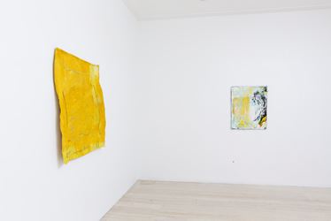 Exhibition view: Teelah George, A Soft Gap, Gallery 9, Sydney (21 February–17 March 2018). Courtesy Gallery 9, Sydney. 