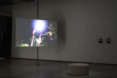 Exhibition view: Group exhibition, How to Sing Our Songs on Their Land, TKG+ Projects, Taipei (5 November 2022–7 January 2023). Courtesy TKG+ Projects, Taipei.