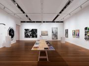 Sydney Gallery Roslyn Oxley9 Turns 40