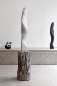 Silver Raven by Tanya Ashken contemporary artwork sculpture