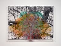 Numbers and Trees: London Series 1, Tree #6, Fetter Lane by Charles Gaines contemporary artwork painting, photography