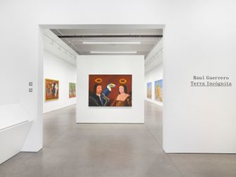 Contemporary art exhibition, Raul Guerrero, Terra Incógnita at David Kordansky Gallery, New York, United States