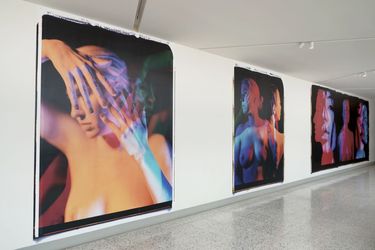Contemporary art exhibition, Issa Salliander, Natalie White, VIRGINIA SINS at Galeria Hilario Galguera, Mexico City