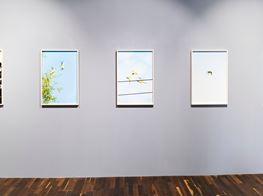 Yoshinori MizutaniBirdsChristophe Guye Galerie