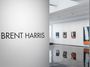 Contemporary art exhibition, Brent Harris, Monkey Business at Tolarno Galleries, Melbourne, Australia