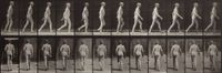 Lateral curvature of spine, walking by Eadweard Muybridge contemporary artwork photography