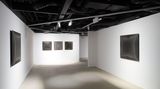 Contemporary art exhibition, Su Xiaobai, Niao Niao at Pearl Lam Galleries, Hong Kong