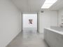 Contemporary art exhibition, Marlene Dumas, Double Takes at Zeno X Gallery, Antwerp, Belgium