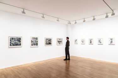 Exhibition view: François Rouan, Après coups, Templon, Paris (4 May–13 July 2024). Courtesy Templon.