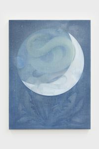 The Snake, No. 7 by Theodora Allen contemporary artwork painting