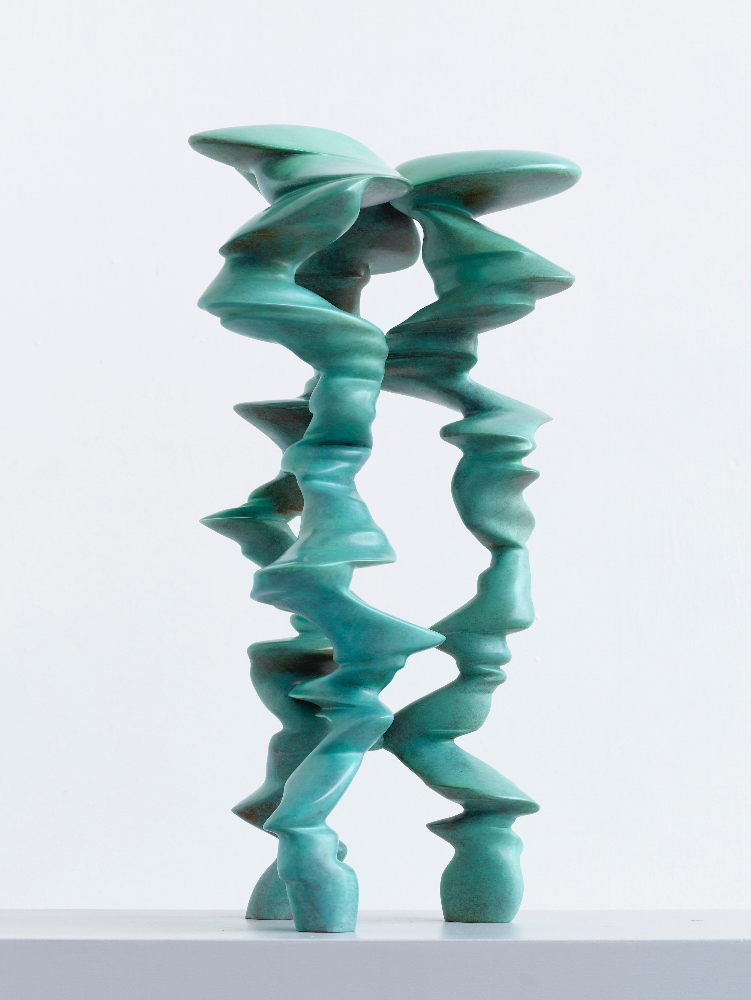 Points of View, 2018 by Tony Cragg, Bronze: this is a unique version ...