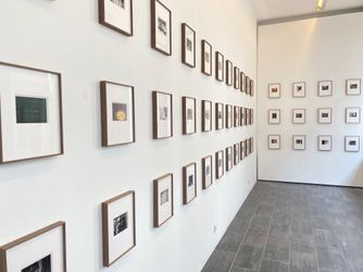 Contemporary art exhibition, Mark Van Den Brink, The Minox Files at Gallery Fifty One Too, Belgium