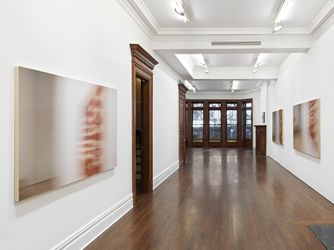 Exhibition view:  Louise Lawler, NOT ENOUGH TO SEE, Sprüth Magers, New York (2 November–23 December 2022). Courtesy Sprüth Magers.