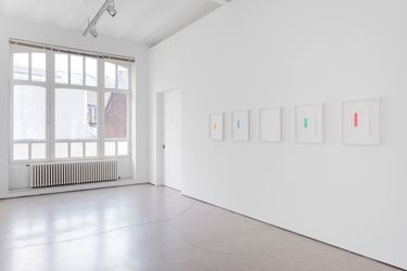 Exhibition view: Ian Wallace, Galerie Greta Meert, Brussels, Belgium (9 March–6 May 2017). Courtesy Galerie Greta Meert.