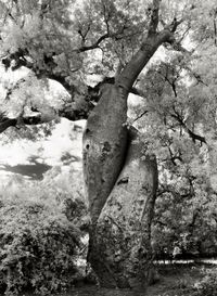 The Lovers by Beth Moon contemporary artwork photography