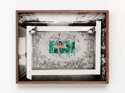 Advisory Spotlight: Elad Lassry’s Disruptions