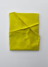 Acid Yellow by Anna Fasshauer contemporary artwork painting, sculpture