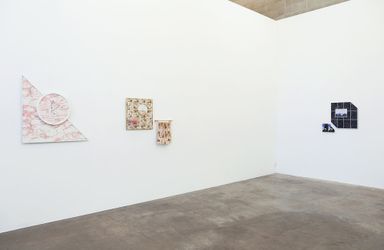 Exhibition view: Emily Hartley-Skudder, Germfree Adolescents, Jonathan Smart Gallery (9 March–10 April 2021). Courtesy Jonathan Smart Gallery. 
