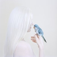 Birds Eye by Petrina Hicks contemporary artwork photography
