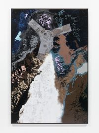 Solipsist XIV by Matthew Day Jackson contemporary artwork mixed media