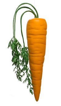Fake Carrot by John Baldessari contemporary artwork sculpture