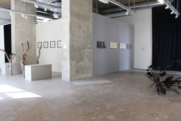 Exhibition view: Group Exhibition, Crossed Perspectives, Galerie Tanit, Beyrouth (4 November–2 January 2023). Courtesy Galerie Tanit.