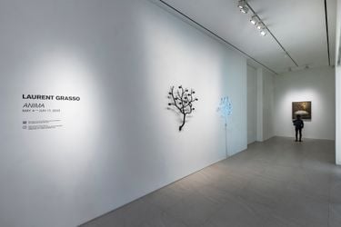 Exhibition view: Laurent Grasso, ANIMA, Dosan Park, Seoul. Courtesy the artist and Perrotin. Photo: Hwang Jung wook. 