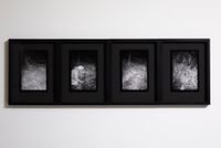 Frameshift 1–4 by Anne Noble contemporary artwork print