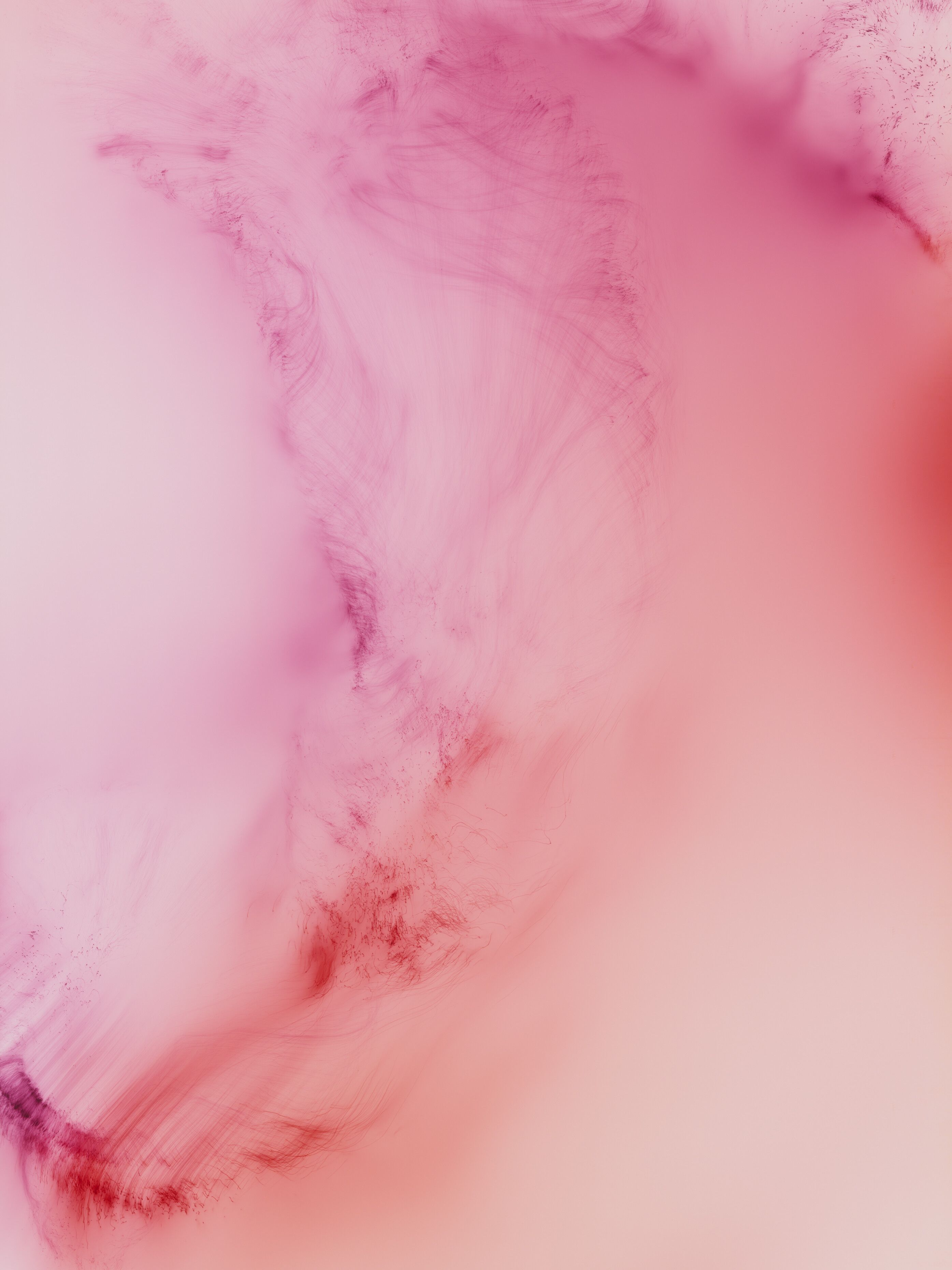 Freischwimmer 233, 2021 by Wolfgang Tillmans, Inkjet print