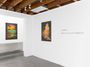 Contemporary art exhibition, Neil Raitt, Between a Rock and a Setting Sun at Anat Ebgi, Culver City, USA