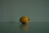 1000 Rejected Citrons by Itamar Gov contemporary artwork photography